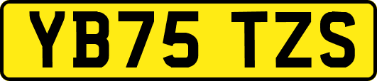 YB75TZS