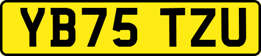 YB75TZU