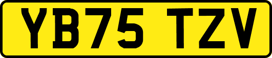 YB75TZV