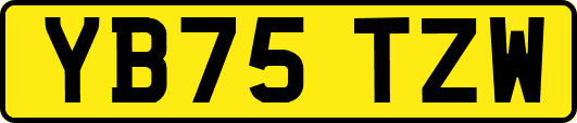 YB75TZW