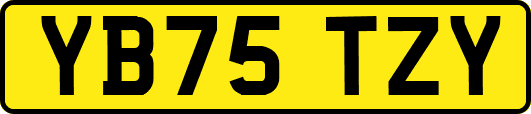 YB75TZY