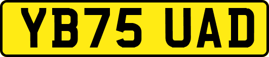 YB75UAD