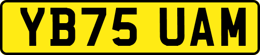 YB75UAM