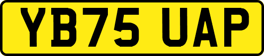 YB75UAP