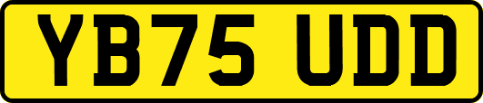 YB75UDD