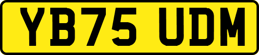 YB75UDM