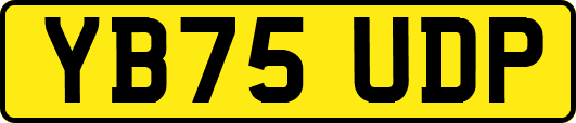 YB75UDP
