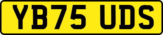YB75UDS