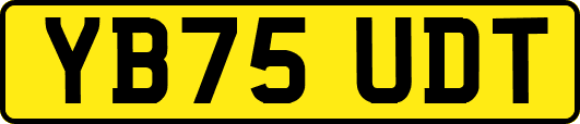 YB75UDT