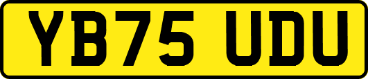 YB75UDU