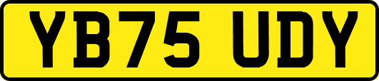 YB75UDY