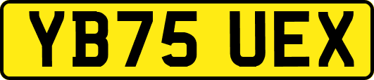YB75UEX