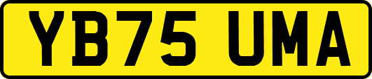 YB75UMA
