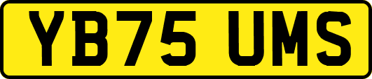 YB75UMS