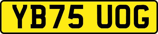 YB75UOG