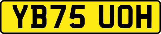 YB75UOH