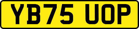 YB75UOP
