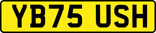 YB75USH