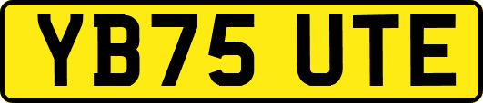 YB75UTE