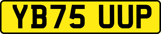 YB75UUP