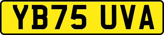 YB75UVA