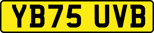 YB75UVB