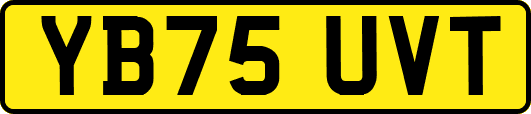 YB75UVT