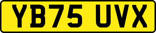 YB75UVX