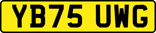 YB75UWG