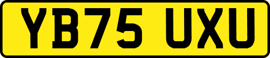 YB75UXU