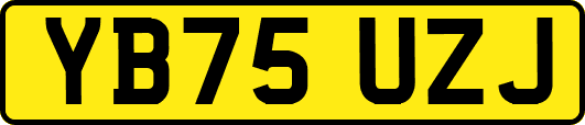 YB75UZJ