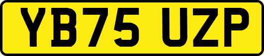 YB75UZP