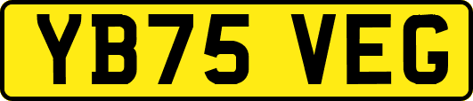 YB75VEG
