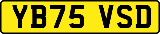 YB75VSD