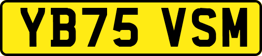 YB75VSM