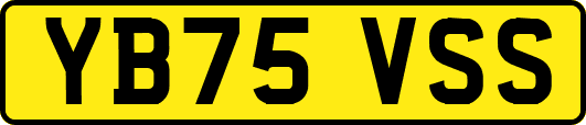 YB75VSS