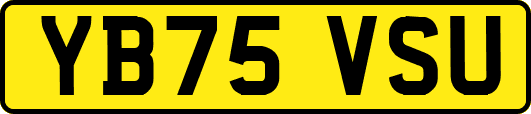 YB75VSU
