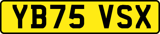 YB75VSX