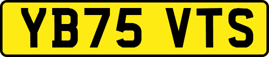YB75VTS