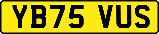 YB75VUS