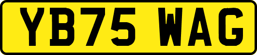 YB75WAG