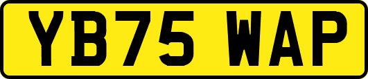 YB75WAP