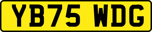 YB75WDG