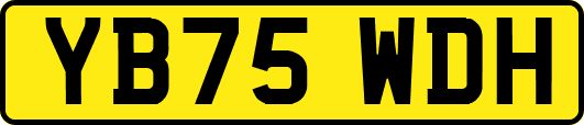 YB75WDH
