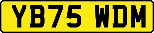 YB75WDM