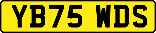 YB75WDS