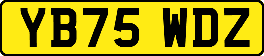YB75WDZ