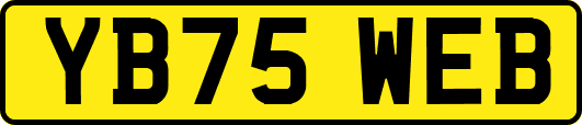 YB75WEB