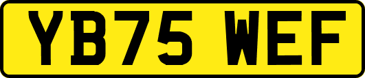 YB75WEF