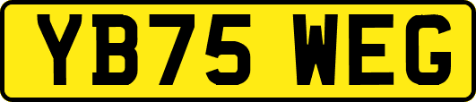 YB75WEG